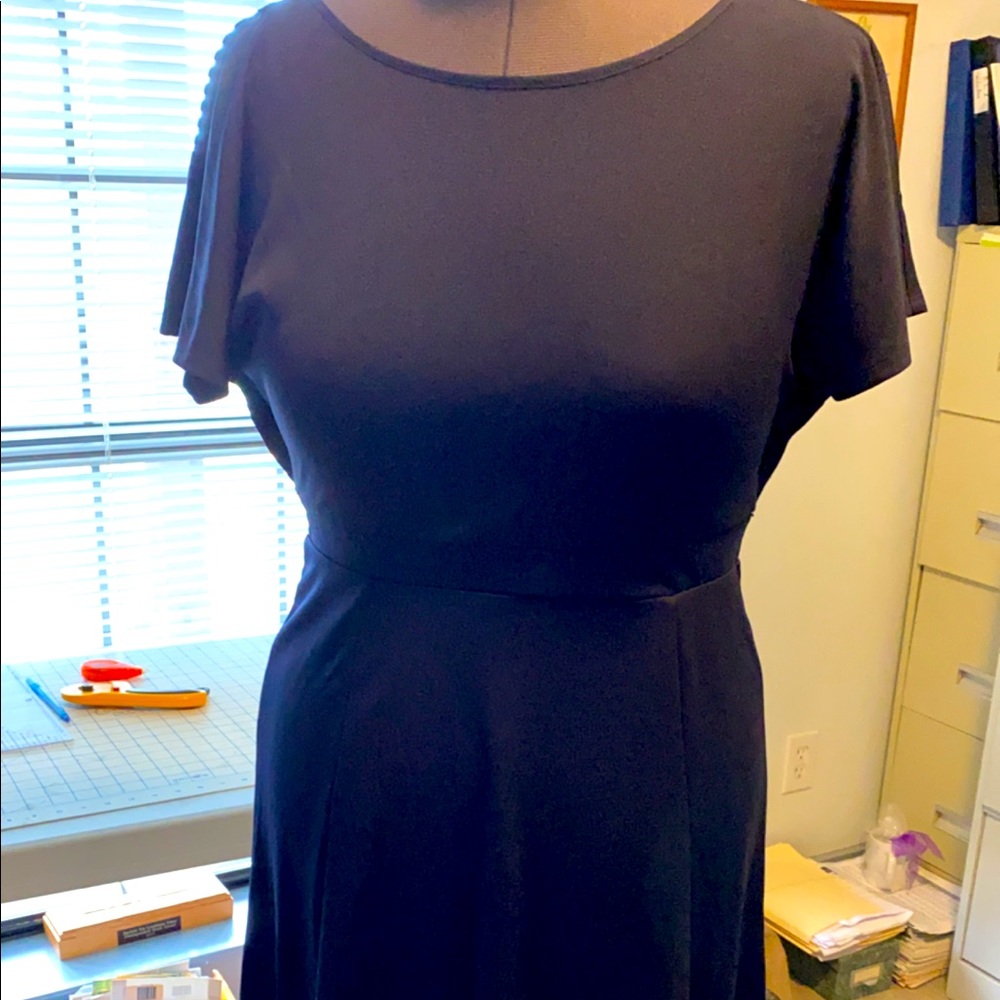 Ann Taylor dress -professional.